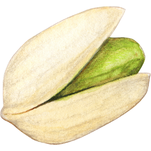 Pistachio