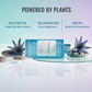 Belezo Aquarius Cleanser and Exfoliater