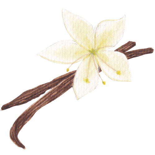 JASMINE