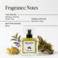 Belezo Tropical Moss Gown Verde Noctis Eau de Parfum – 50 ml