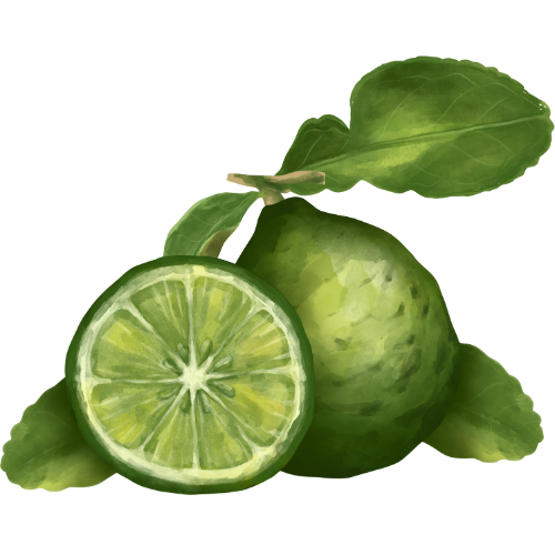 Bergamot